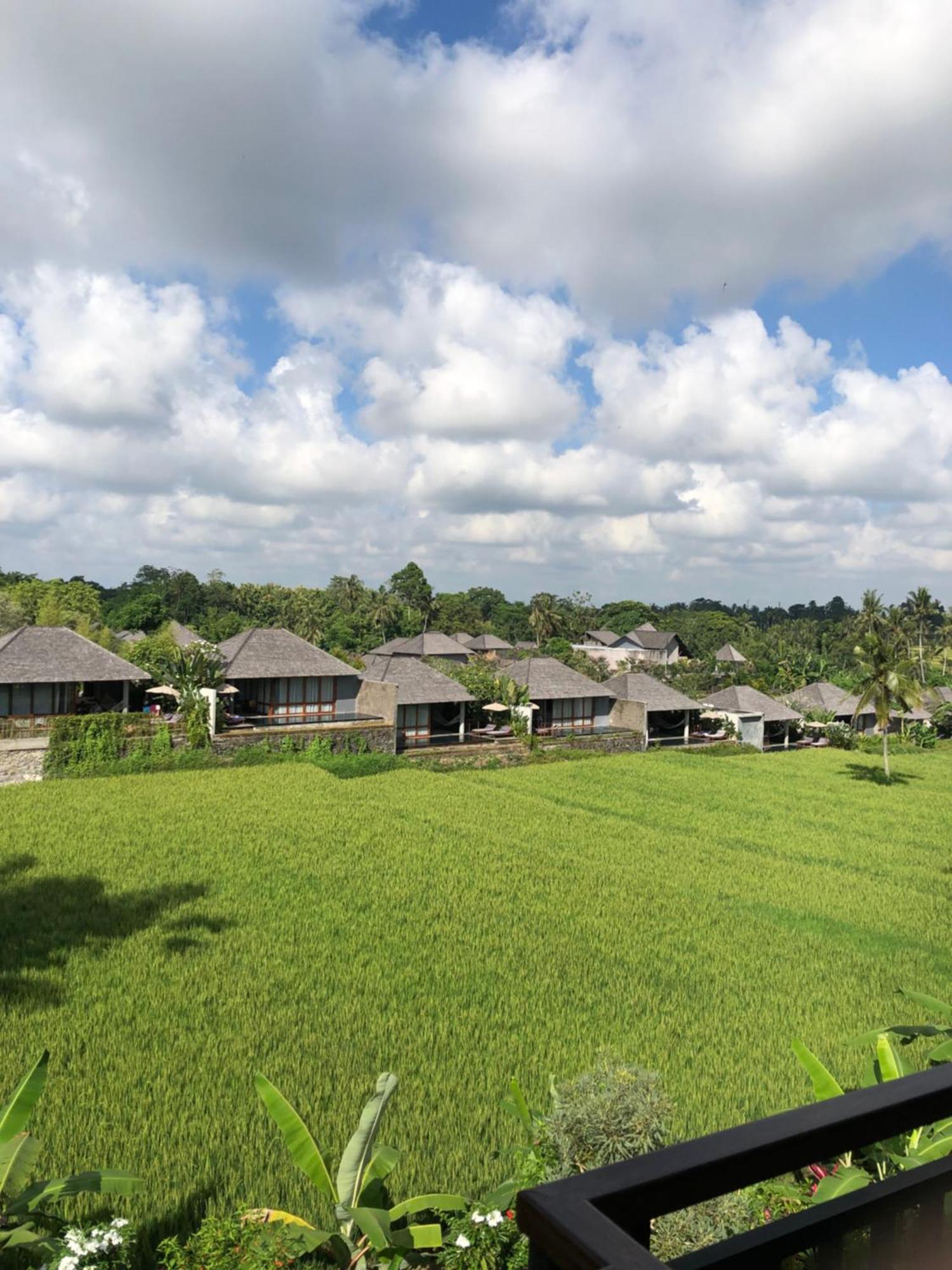 Mira Family Cottages Ubud  Exterior photo